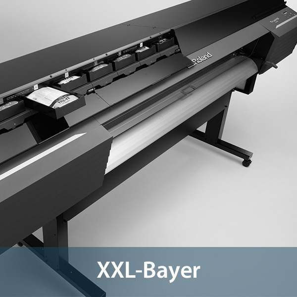 www.XXL-Bayer.de